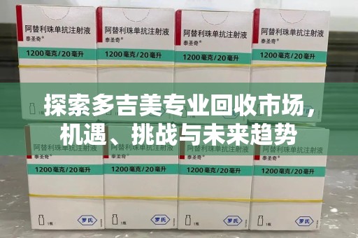 泰州探索多吉美专业回收市场，机遇、挑战与未来趋势