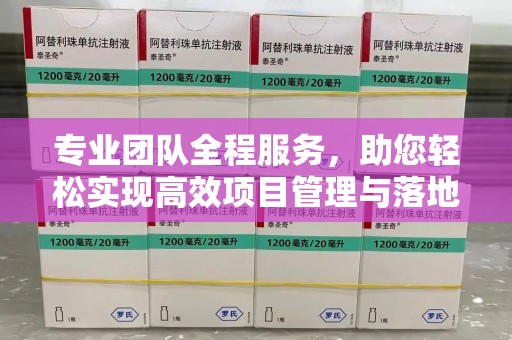泰州专业团队全程服务，助您轻松实现高效项目管理与落地