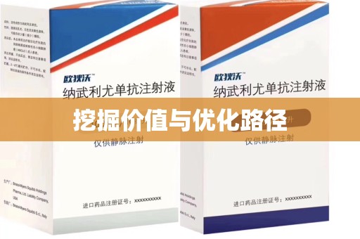 泰州挖掘价值与优化路径